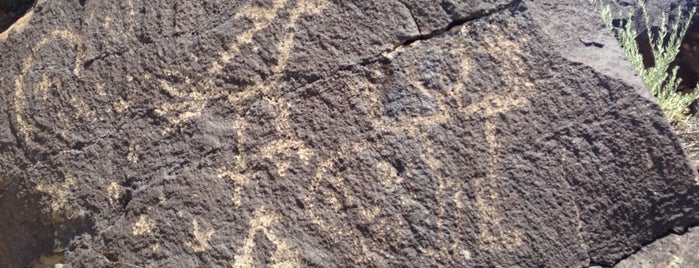Petroglyph National Monument is one of Orte, die Kathryn gefallen.