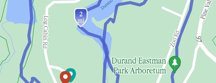 Durand Eastman Park is one of local hikes.