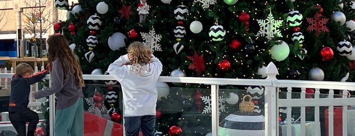 Reston Town Center Rink is one of Greater DC A & E.