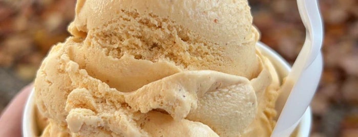 Bedford Farms Ice Cream is one of Gluten Free.