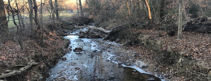 Rutherford Park is one of Parks in VA.