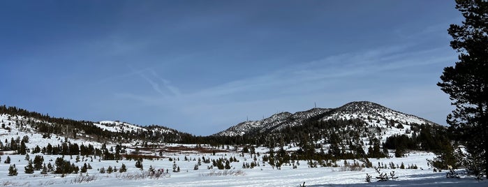 Chickadee Ridge is one of Tempat yang Disukai Rob.