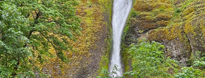 Horsetail Falls is one of Waterfalls.