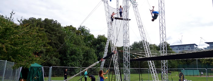Gorilla Circus Flying Trapeze School