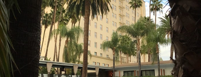 Tropicana at the Roosevelt is one of The 15 Best Places with a Swimming Pool in Los Angeles.