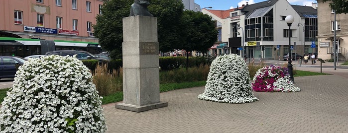 Pomnik Ludwika Zamenhofa is one of Lista miejsc Śledzina.