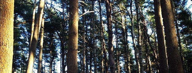 Talbot's Point is one of Cape & Islands.