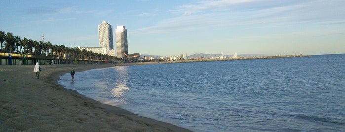 Praia da Barceloneta is one of Барселона.