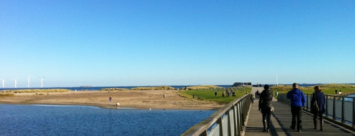 Amager Strandpark is one of København: My Shopping, outdoors & chill spots!.