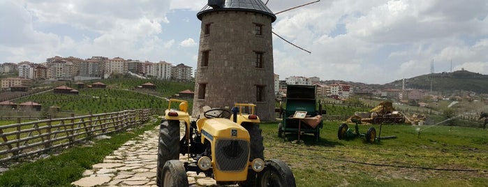 Altınköy Açık Hava Müzesi is one of Ilker : понравившиеся места.