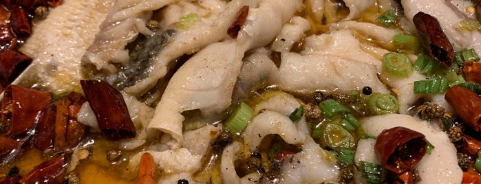 Da Xi Szechuan Cuisine is one of nyc.