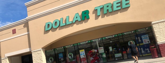 Dollar Tree is one of Common Check Ins.