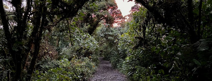 Refugio de Vida Silvestre Cerro Dantas is one of Naturaleza.