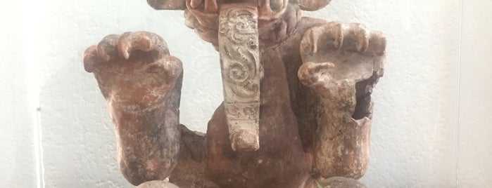 Museo Arqueológico Guillermo Spratling is one of Viajando pelo México! (:.