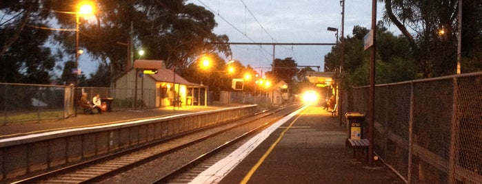 Riversdale Station is one of Melbourne Train Network.