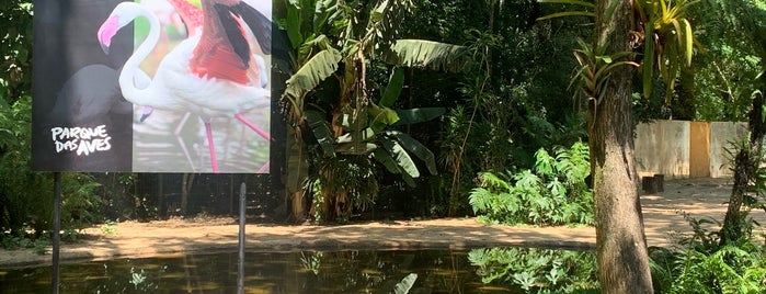 Recanto dos flamingos is one of Iguazú.
