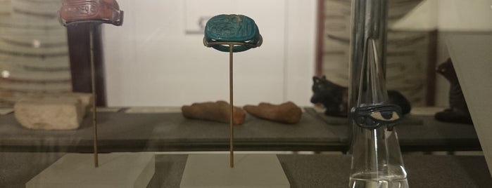 Petrie Museum of Egyptian Archaeology is one of H'ın Beğendiği Mekanlar.