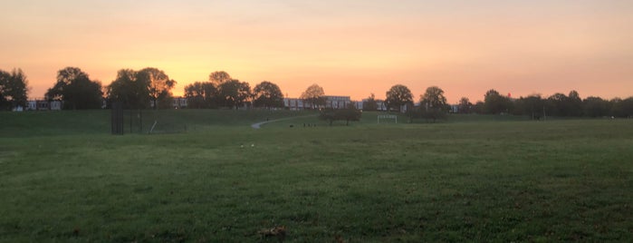 Patterson Park Annex ("Second Park") is one of Allison’s Liked Places.