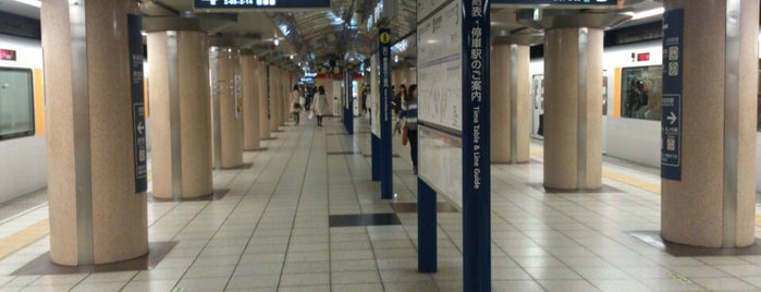 Nagatacho Station is one of Subway Stations.