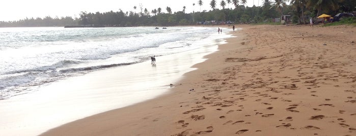 Playa Fortuna is one of Must Go's in Puerto Rico.