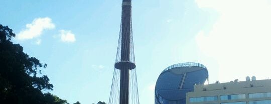 Sydney Tower Eye is one of Check out in Sydney.