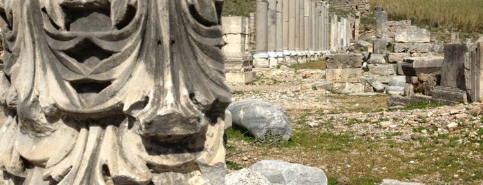 Perge Antik Kenti is one of Historical Places in Antalya - Ören Yerleri.