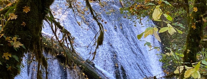 Trail of Ten Falls is one of Activities.