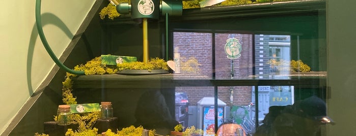 The Greenhouse Effect is one of Amsterdam Coffeeshops 1 of 2.