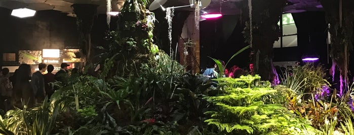 Lowline Lab is one of New York.