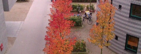 Citadel is one of University of Twente Campus locations.