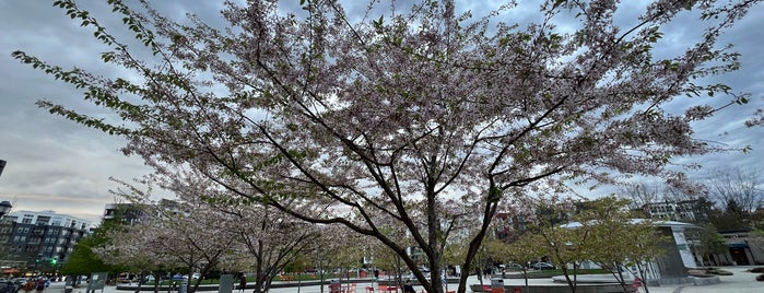 Downtown Redmond is one of Seattle area municipalities.