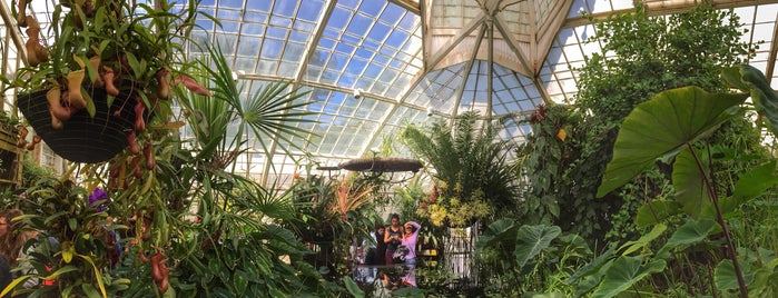 Conservatory of Flowers is one of 100 SF Things to Do before you Die.