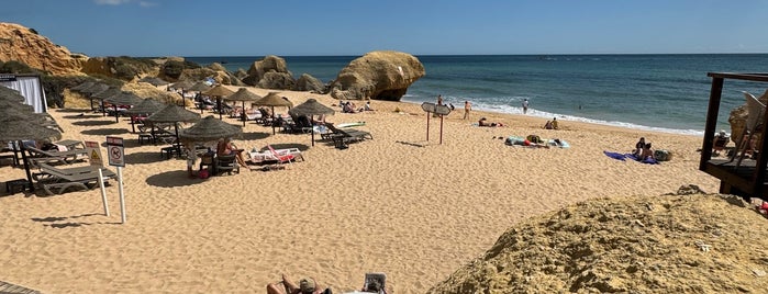 Pedras Amarelas is one of Algarve.