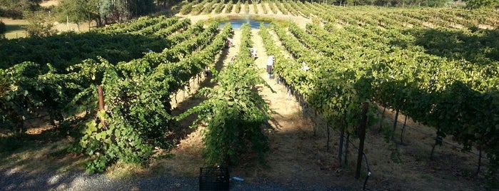Paza Vineyard And Winery is one of Auburn.