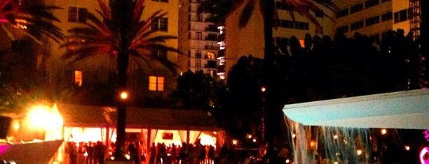The Raleigh Hotel is one of Miami Florida - Peter's Fav's.