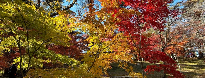 Tsukinoishi Momiji Park is one of 🇯🇵 (Japan • Sites).