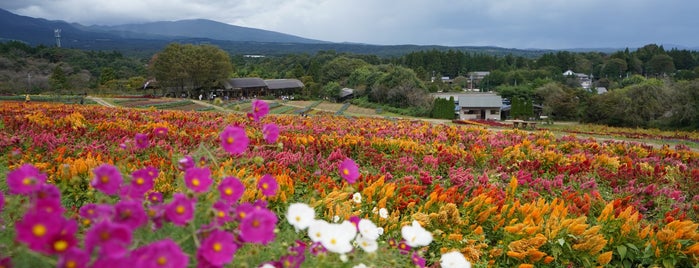 Nasu Flower World is one of 行ったことがある-1.