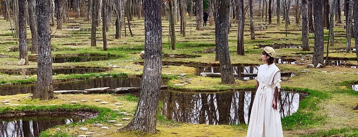 アート・ビオトープ那須 is one of 栃木.