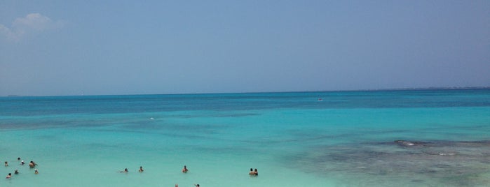 RIU Palace Las Américas is one of Playas - México.