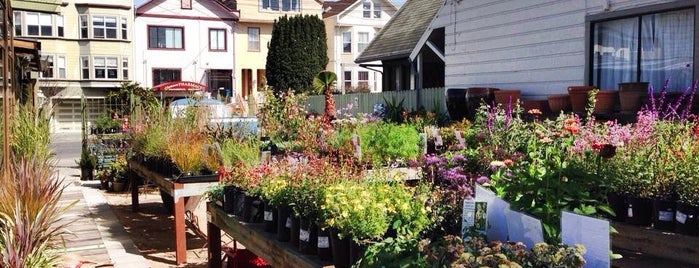 Clement Nursery is one of Scott’s Liked Places.