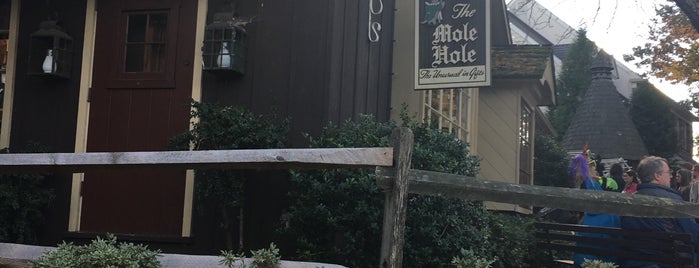The Mole Hole is one of Lugares favoritos de Lizzie.