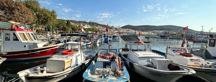 dikili balıkçı barınagı is one of Dikili, Ayvalık, Bergama.