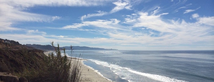 Del Mar Shores is one of Tempat yang Disukai Taner.