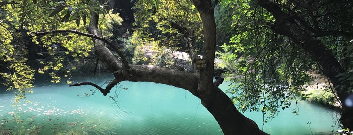 Kurşunlu Şelalesi ve Tabiat Parkı is one of Tempat yang Disimpan özdemir.