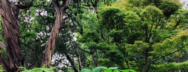 Zilker Botanical Gardens is one of Austin, TX.