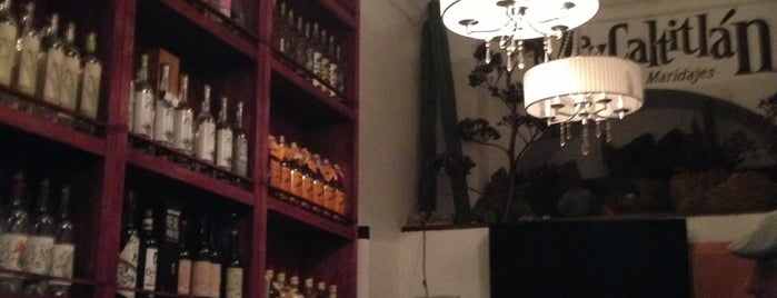 Mezcaltitlan is one of Karla's Saved Places.