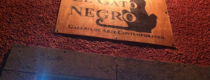 El Gato Negro is one of Recomendaciones SLP.