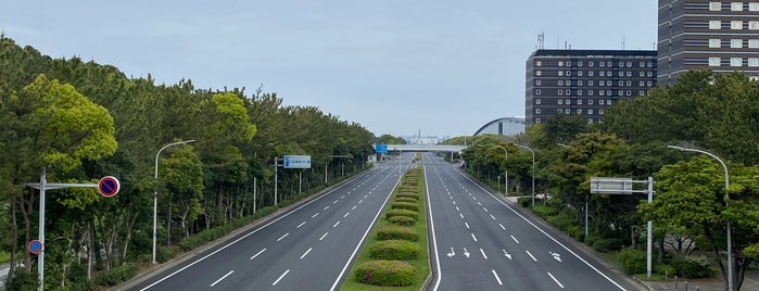 Mihamaen Bridge is one of 渡った橋（東日本）.