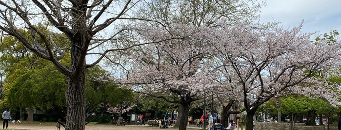 谷津公園 is one of 好きな千葉県の公園(Favorite Chiba's Park).
