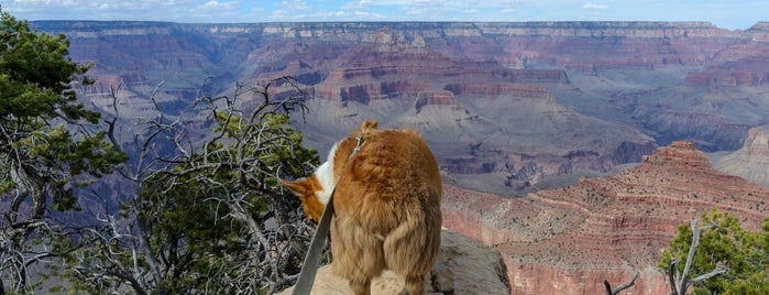 Mather Point is one of Gals Trip.